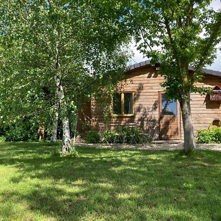 Chalet Proche Orleans Centre Saint-Jean-le-Blanc Dış mekan fotoğraf