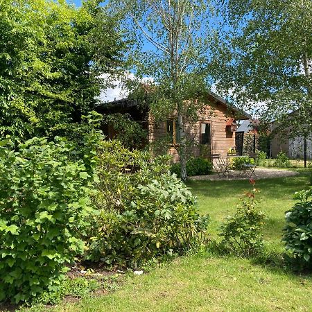 Chalet Proche Orleans Centre Saint-Jean-le-Blanc Dış mekan fotoğraf