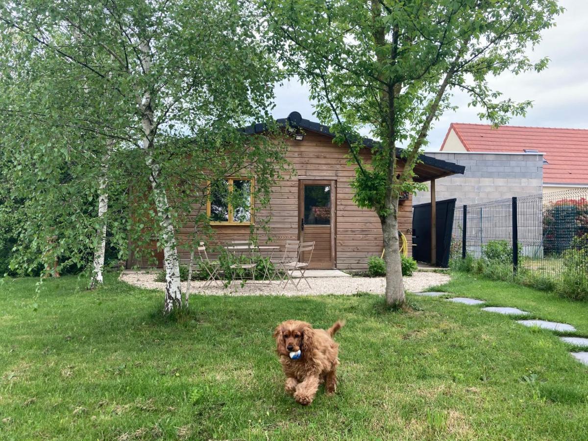 Chalet Proche Orleans Centre Saint-Jean-le-Blanc Dış mekan fotoğraf