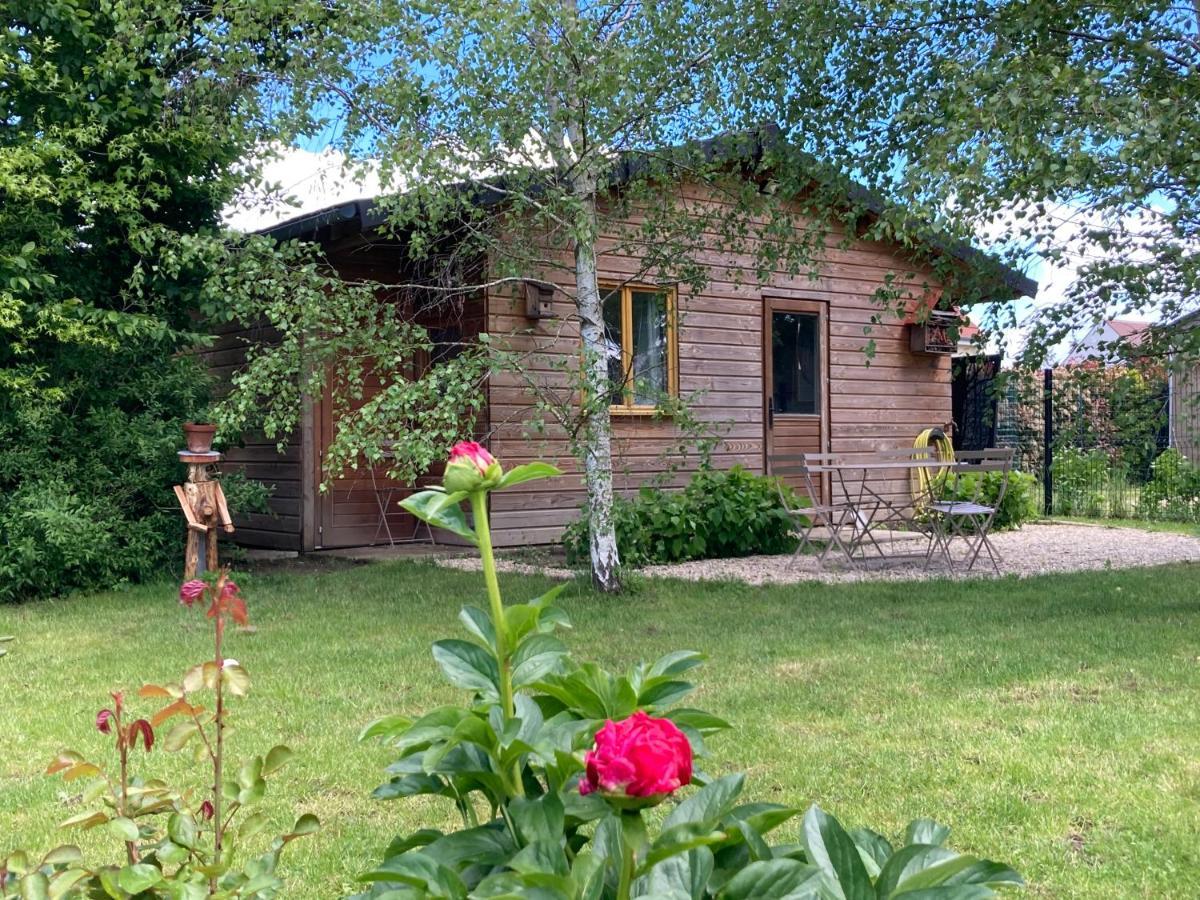 Chalet Proche Orleans Centre Saint-Jean-le-Blanc Dış mekan fotoğraf